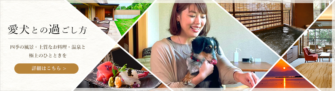 愛犬との過ごし方
