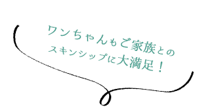 ワンちゃんもご家族とのスキンシップに大満足！